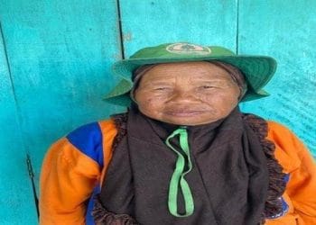 Nenek Tangguh yang Sudah 19 Tahun Lakukan Ini Diundang Jokowi Ke Istana Negara