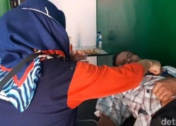 Segerombolan Tawon 'Odeng' Menyerang Petani di Tasikmalaya Saat Cari Rumput