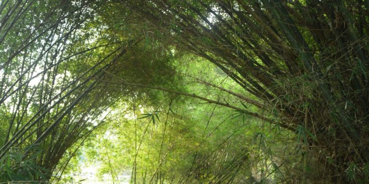 Misteri di Dalam Mata Air Cibolerang