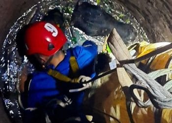 Hendak Jadi Hewan Kurban, Sapi di Sukawening Garut Malah Nyemplung Sumur