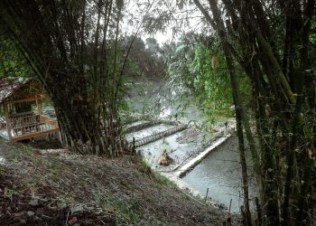 Persembahan Alam dari Cibolerang, Sebuah Pesona, Taman Mata Air.