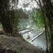 Persembahan Alam dari Cibolerang, Sebuah Pesona, Taman Mata Air.