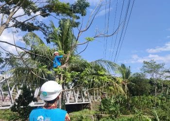 Amankan Pasokan Listrik,PLN ULP Pamengpeuk Fokus Lakukan ROW