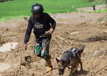 Kodim 0611  Garut, Terjunkan Anjing Pelacak dari Yonif Raider 300  Brajawijaya