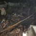 Rumah Lansia di Wanaraja Garut Ludes Terbakar