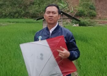 Marak Main Layang-layang, PLN ULP Garut Kota Imbau Selalu Jaga Jarak Aman Kelistrikan