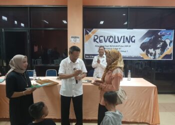 KPGS Kembali Laksanakan Perguliran Revolving Solusi Pengembangan Populasi Sapi