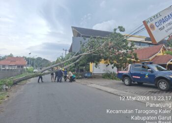 Menembus Cuaca Ekstrem, Tim Recovery PLN UP3 Garut Berhasil Lakukan Pemulihan Pasokan Listrik Pasca Diterjang Angin Kencang