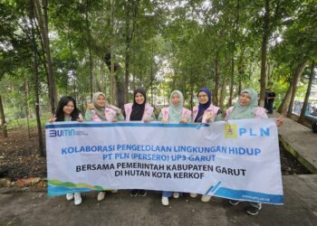 Dukung Penuh Program Pemda Garut, Srikandi PLN Gelar Aksi Bersih-Bersih Dan Pengecatan Pagar di Area Taman Kota Kerkof