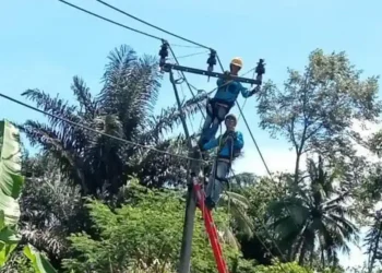 Jaga Kualitas Pelayanan Menjelang Hari Buruh, Tim Recovery PLN Garut Gerak Cepat Tangani Listrik Padam Akibat Pohon Tumbang