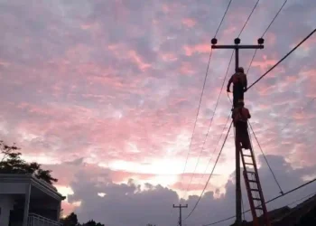 Tingkatan Keandalan Sistem Distribusi Tenaga Listrik, PLN UP3 Garut Laksanakan Inspeksi Jaringan Secara Menyeluruh Dan Berkelanjutan