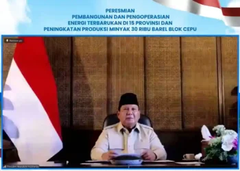 47 PLTS Diresmikan Presiden, 5.383 Rumah Tangga di Wilayah 3T Kini Nikmati Listrik Bersih