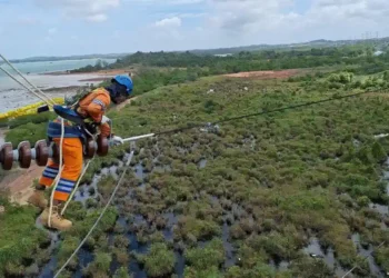 Wujud Kontribusi ke Negara, PLN Setor Rp65,59 Triliun Lewat Dividen, Pajak, dan PNBP
