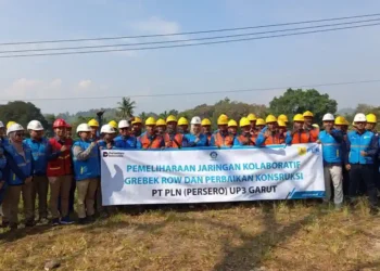 Sinergi Kolaboratif PLN ULP Leles dan PLN ULP Cibatu Dalam Menjaga Keandalan Listrik
