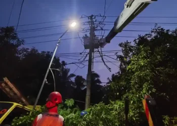 Momentum Sumpah Pemuda, PLN UP3 Garut Perkuat Keandalan Listrik Melalui Aksi Nyata Tim PDKB