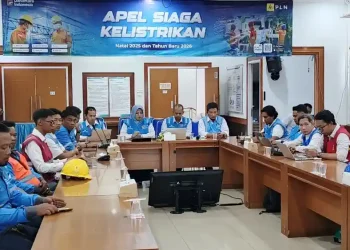 Pastikan Kelistrikan Aman Jelang Nataru, PLN Gelar Apel Siaga Kelistrikan Direktorat Distribusi