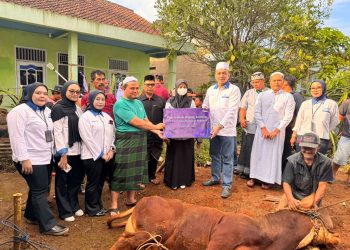 PNM Tebar Syukur, Salurkan Hewan Kurban ke Warga Desa