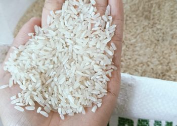 Bulog salurkan 13 ribu ton beras bantuan pangan untuk 437.793 keluarga