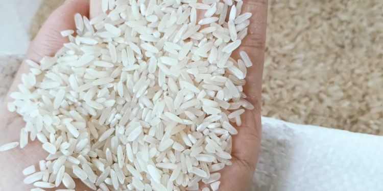 Bulog salurkan 13 ribu ton beras bantuan pangan untuk 437.793 keluarga
