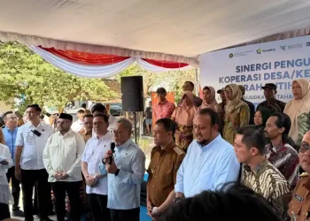 PLN Perkuat Dukungan Program KDKMP melalui Kolaborasi Layanan Kelistrikan